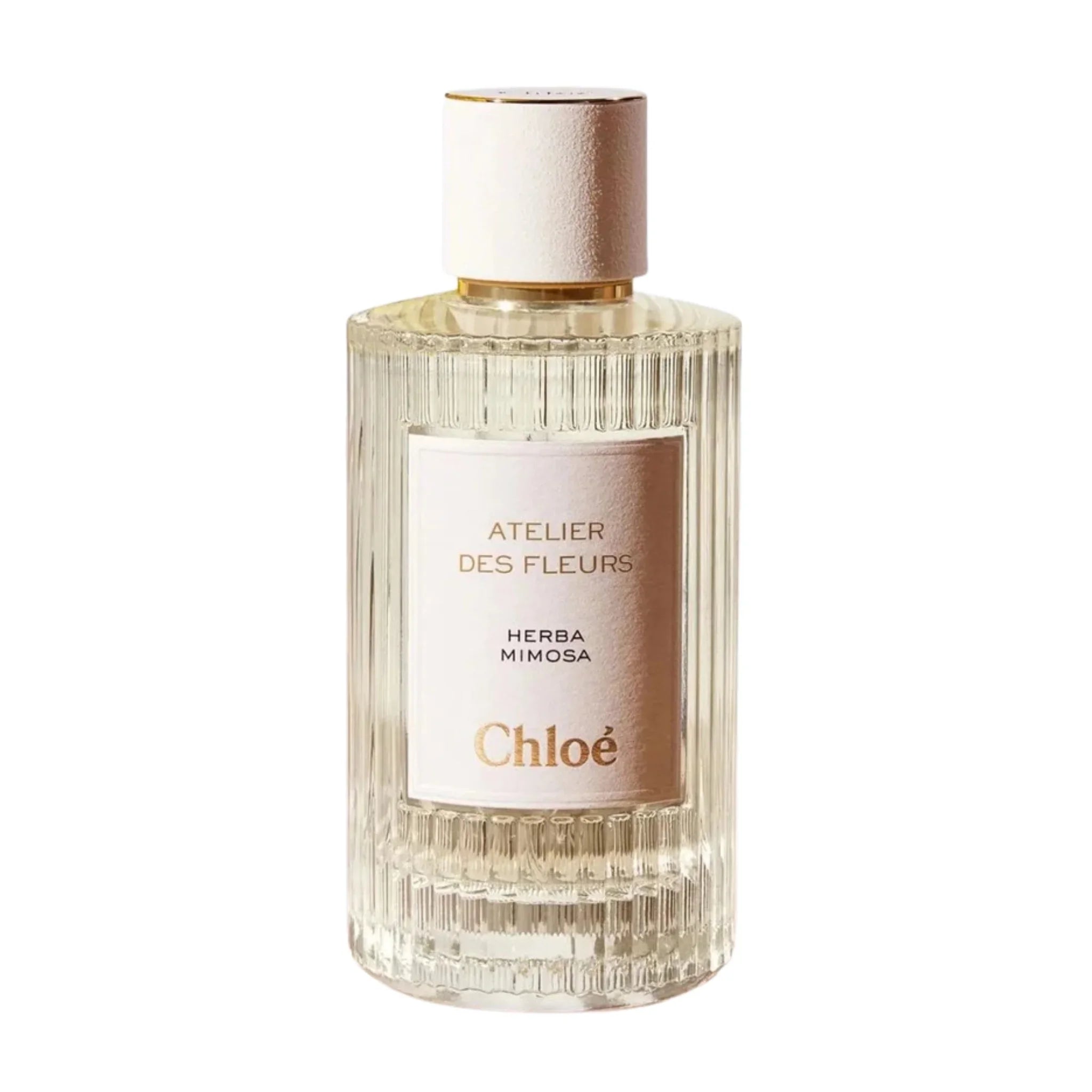 Chloe Herba Mimosa Atelier Des Fleurs Women Eau de Parfum | Maple