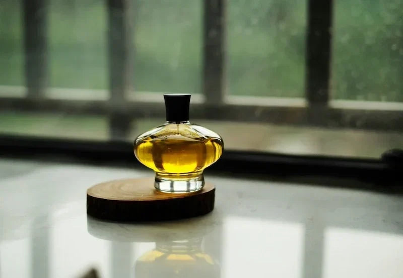 Fall Fragrances 2026: The Complete Guide to Autumn Scents