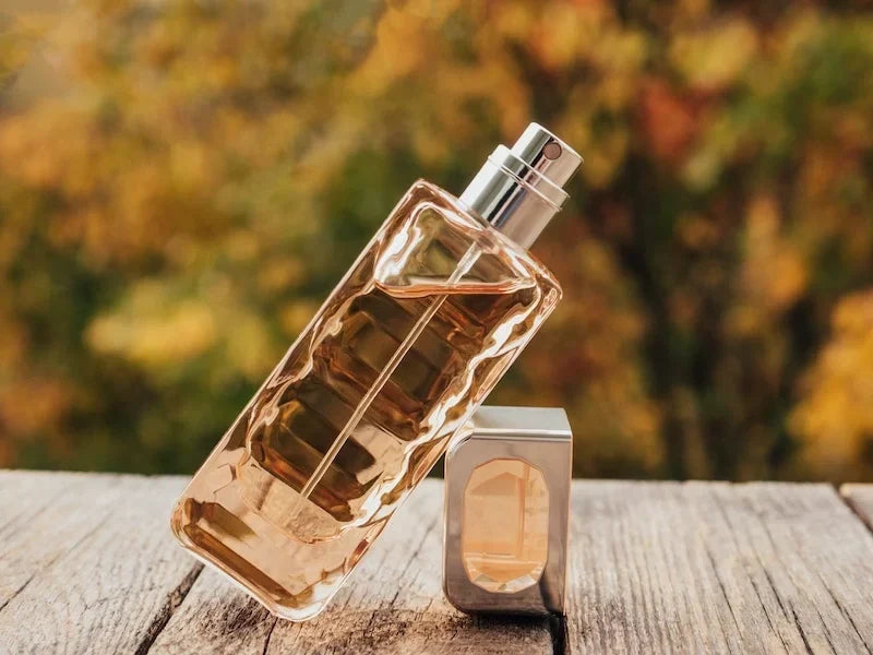 Fall Perfumes for Women: Top 7 Picks
