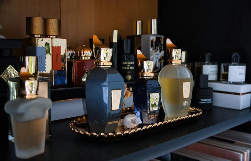 Long Lasting Summer Fragrances to Keep You Fresh All Day