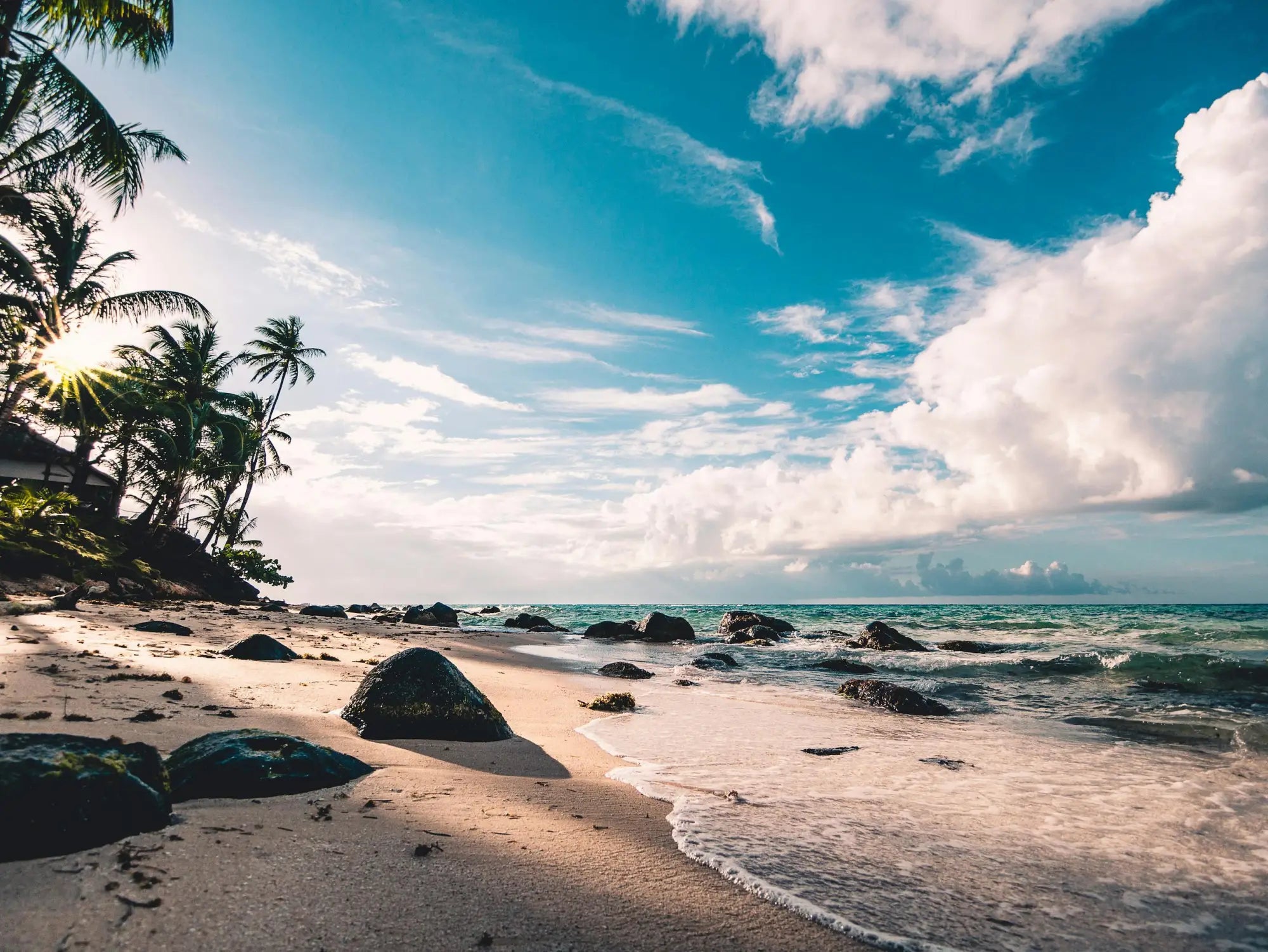 Fragrance Guide: Smell Fabulous at Every Beach Party