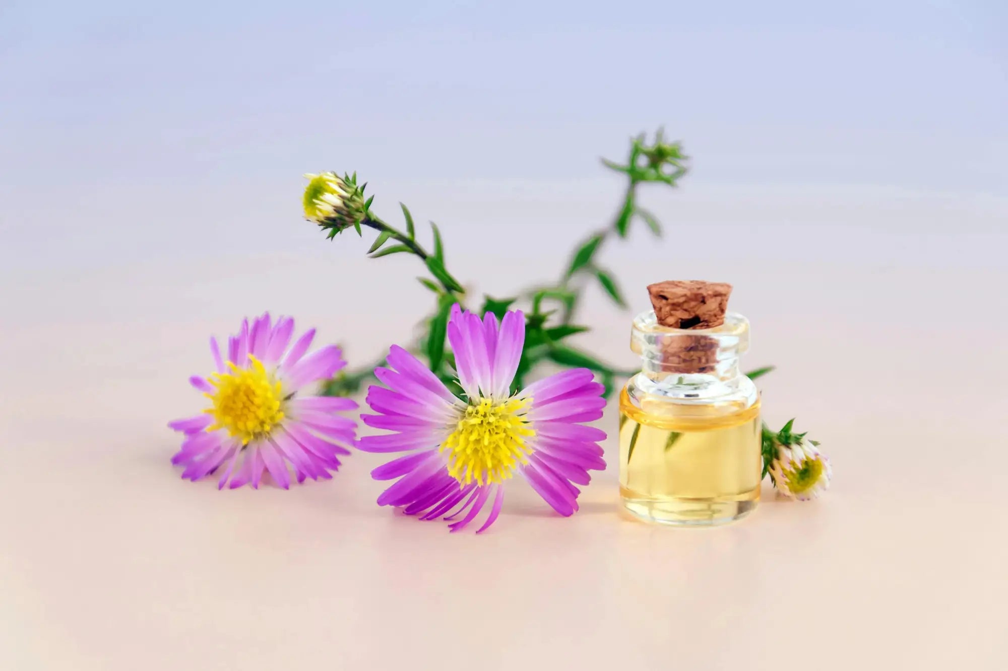 Role of Perfumers in Fragrance Creation