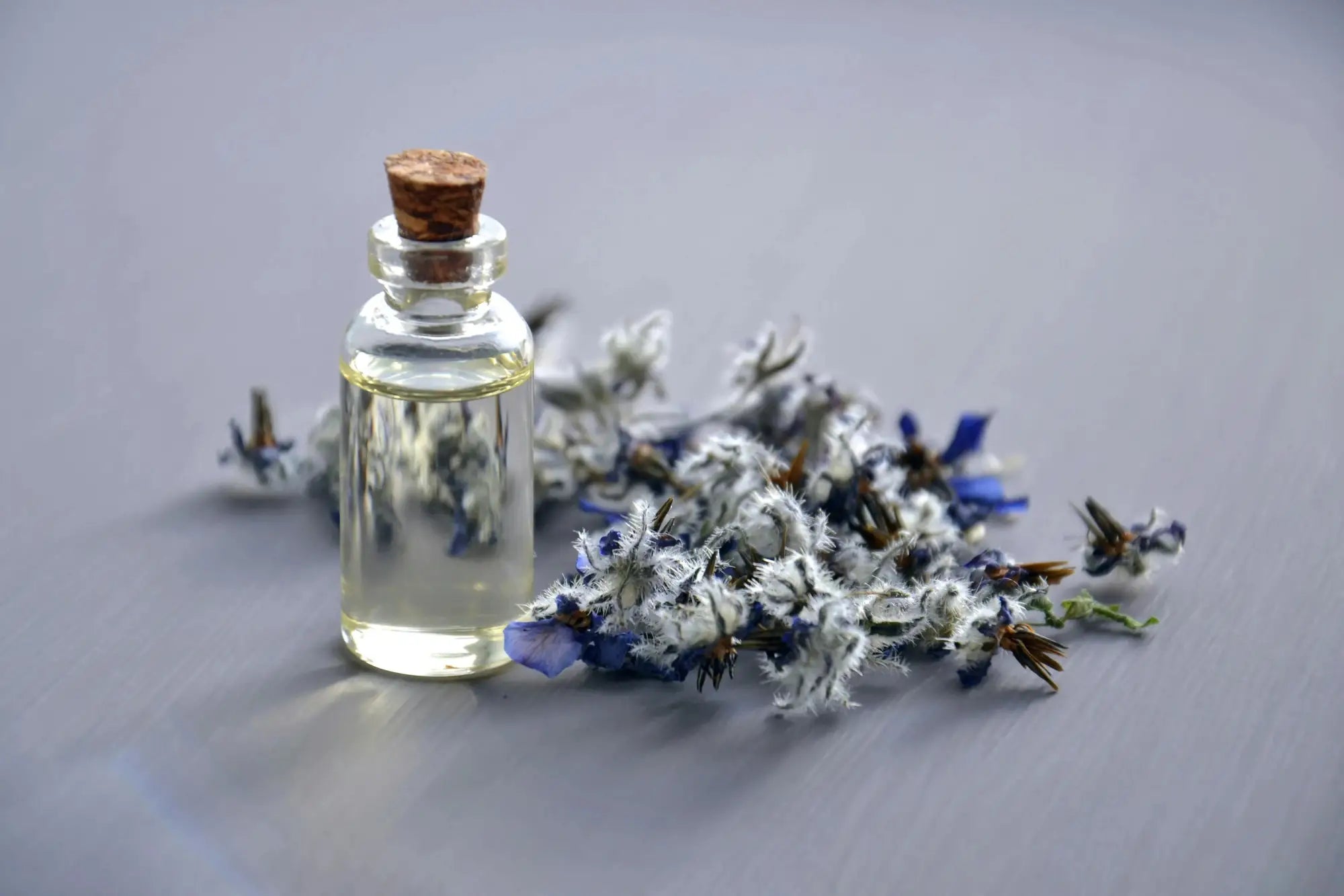 Types of Perfume Fragrances