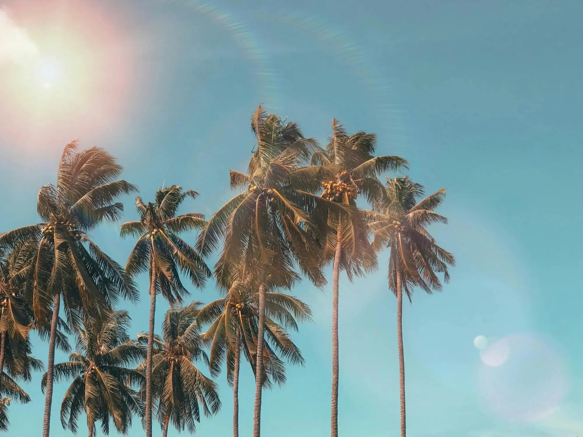 How to Wear Perfume in Hot Weather