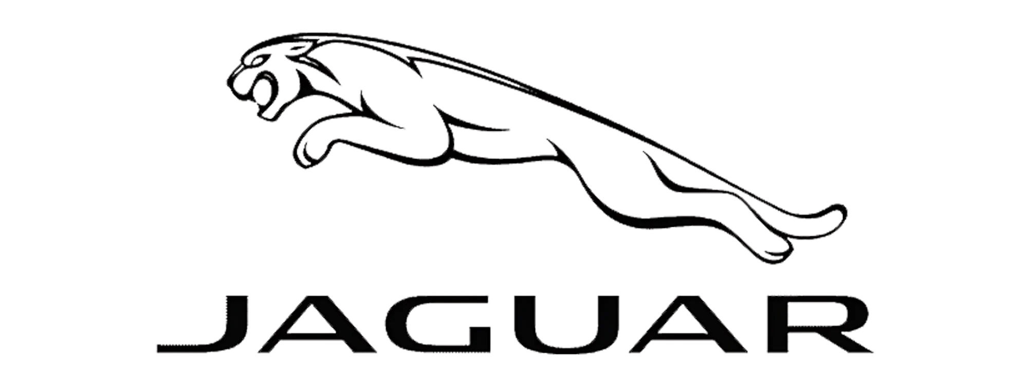 Jaguar - Maple Prime